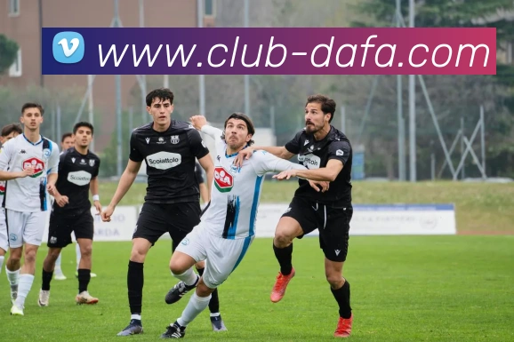 大发官网平台生态图